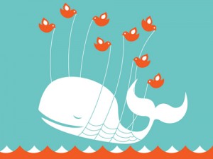 twitter_whale