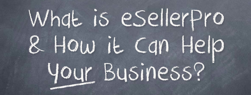 What is eSellerPro & How it Can Help Your Business?