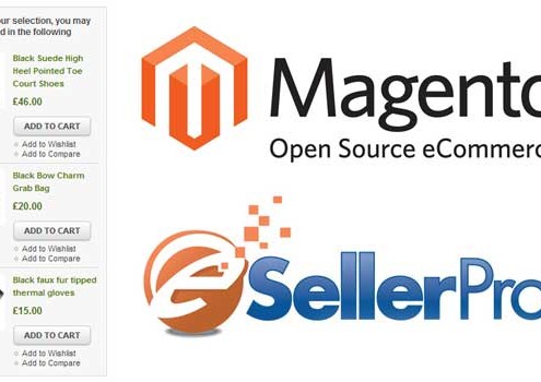 eSellerPro and Magento related products