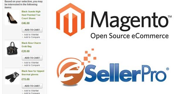eSellerPro and Magento related products